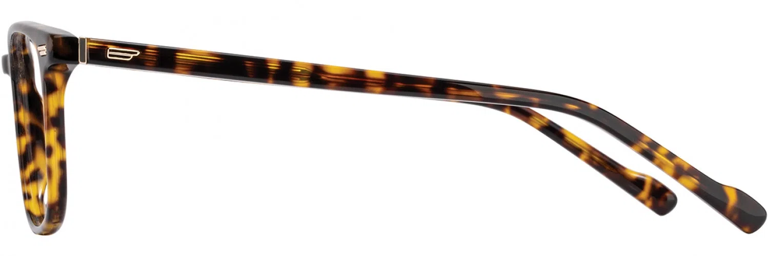 Scott Harris SH952 Eyeglasses - view 8